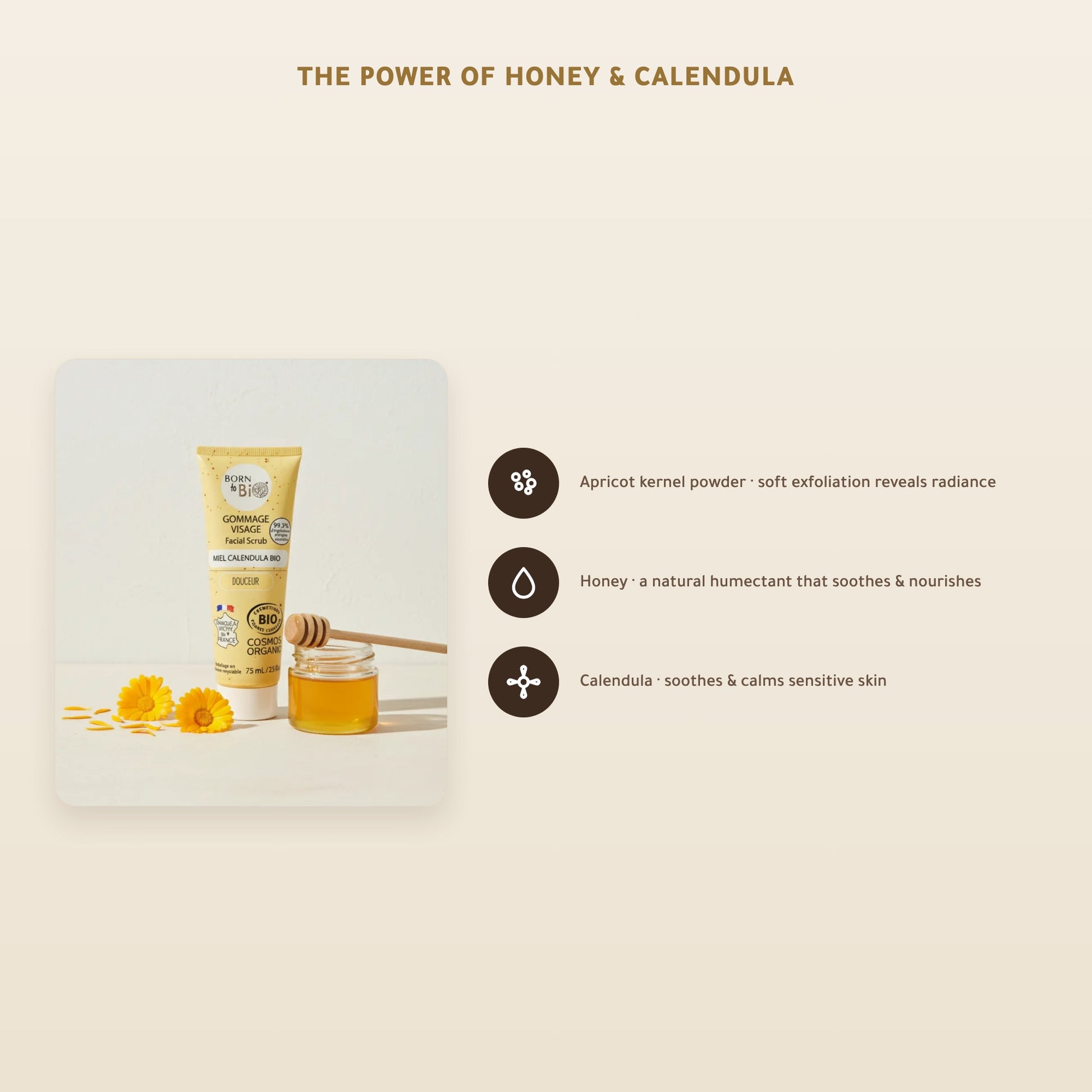 [EN] Calendula Honey Face Scrub – slide 3