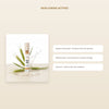 [EN] Organic Liquid Concealer – French Formula | Born to Bio – slide 4