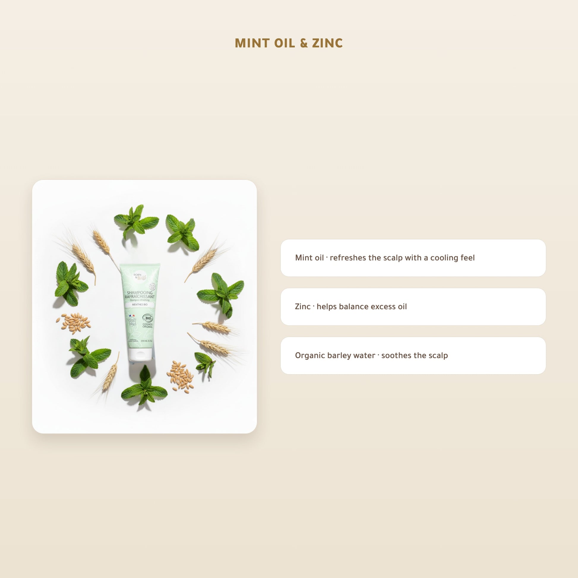 Refreshing Mint Shampoo for Oily Hair – Certified Organic | Born to Bio Vichy – slide 3