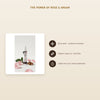 [EN] Organic Rose & Argan Day Cream – Certified Organic | Born to Bio Vichy – slide 3