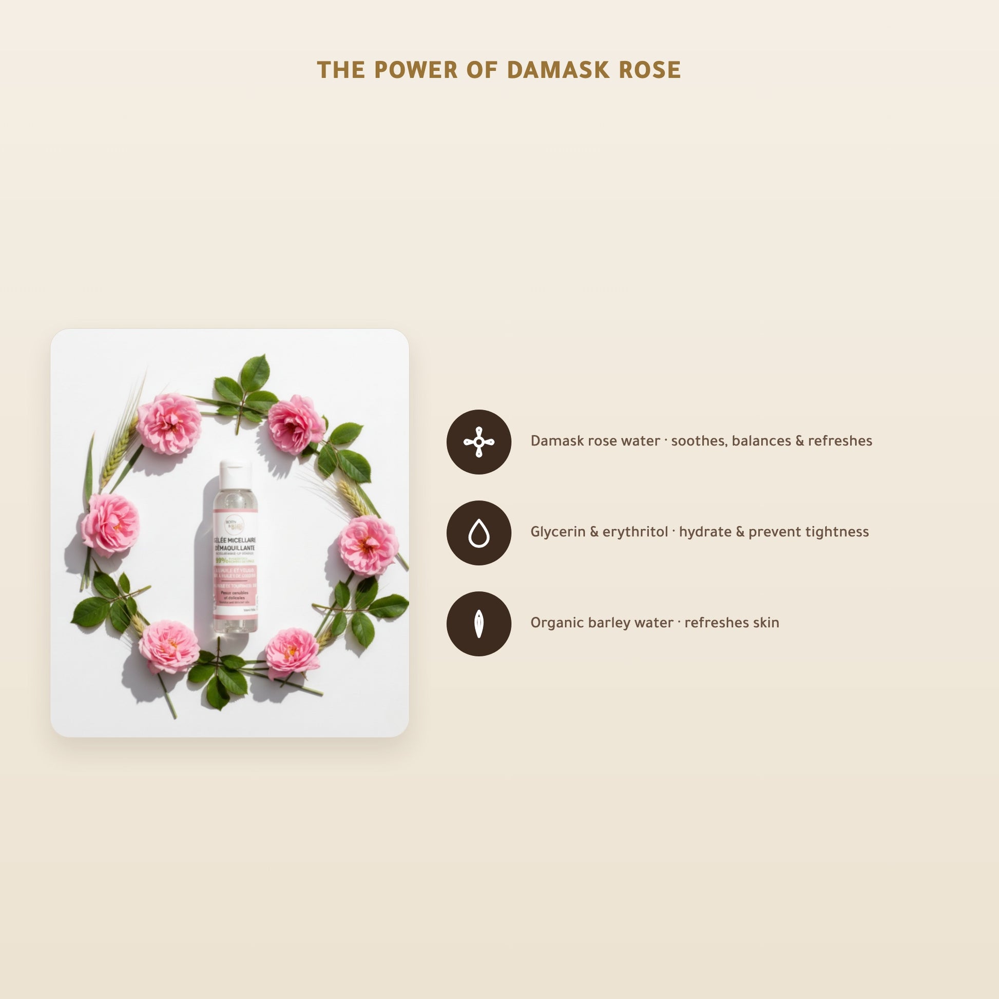 [EN] Organic Micellar Cleansing Gel– Certified Organic | Born to Bio Vichy – slide 3