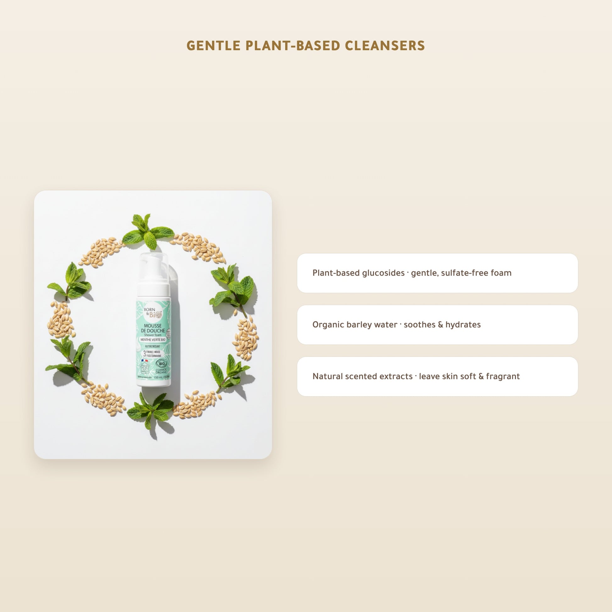 [EN] Organic Green Mint Shower Foam – Certified Organic | Born to Bio Vichy – slide 4