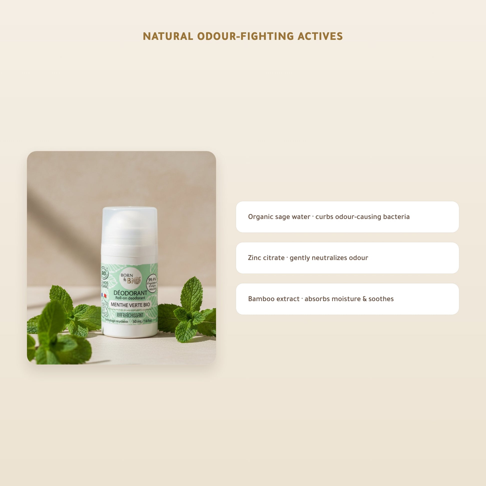Organic Spearmint Deodorant – Made in Vichy, France | Born to Bio Vichy – slide 3