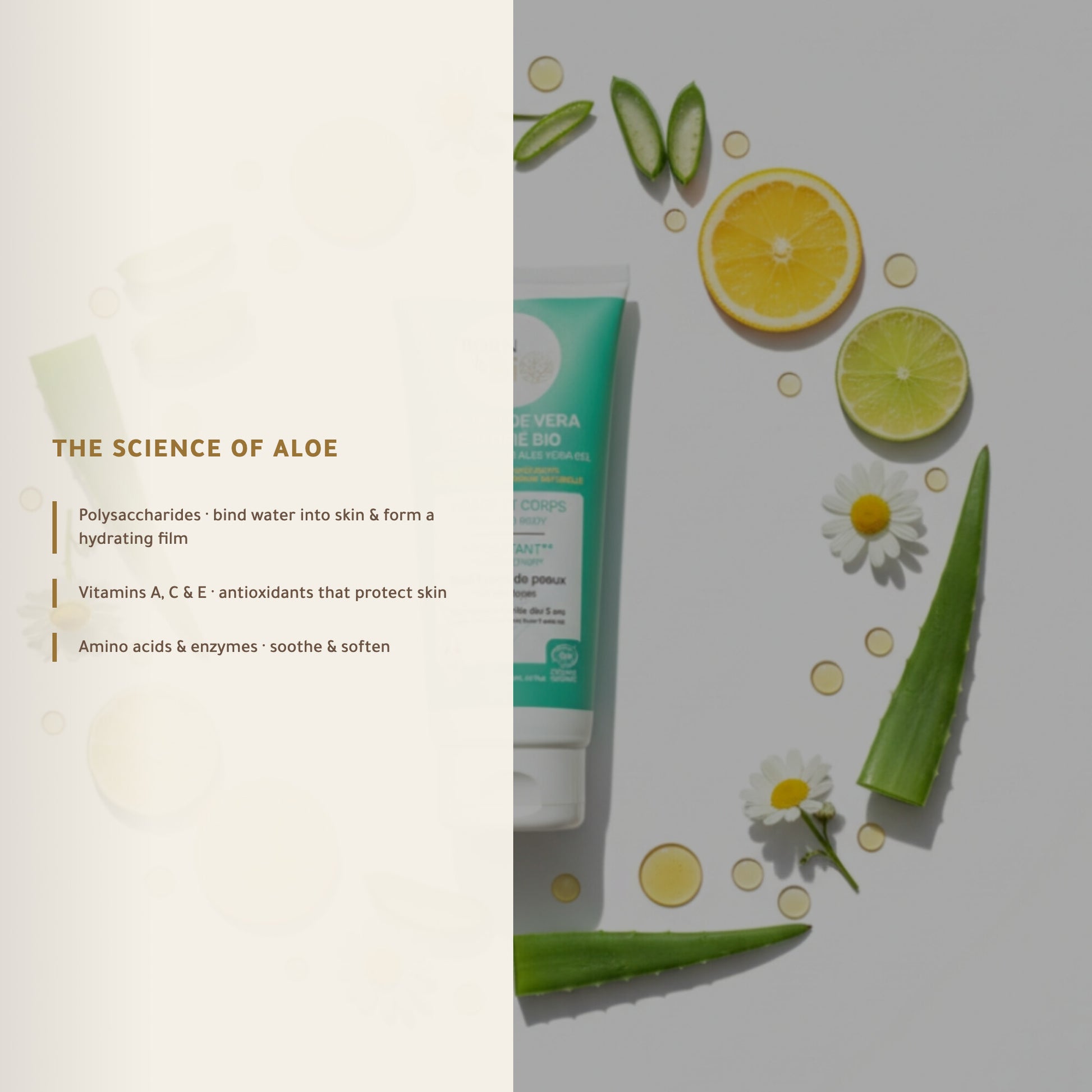 Organic Aloe Vera Gel – Certified Organic | Born to Bio Vichy – slide 3