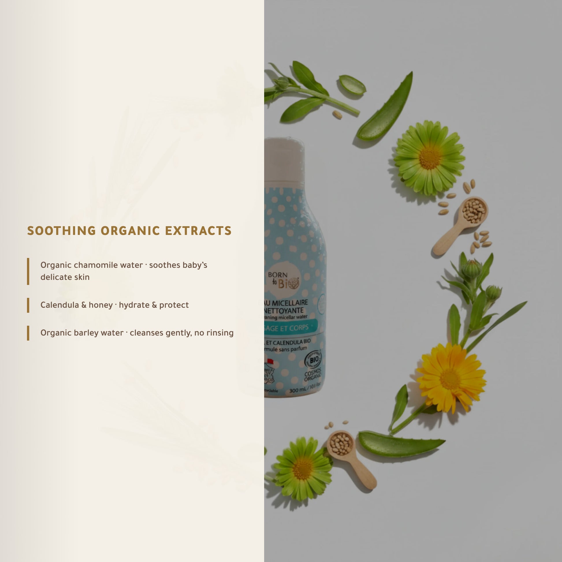Organic Micellar Cleansing Water for Baby – Certified Organic | Born to Bio Vichy – slide 4