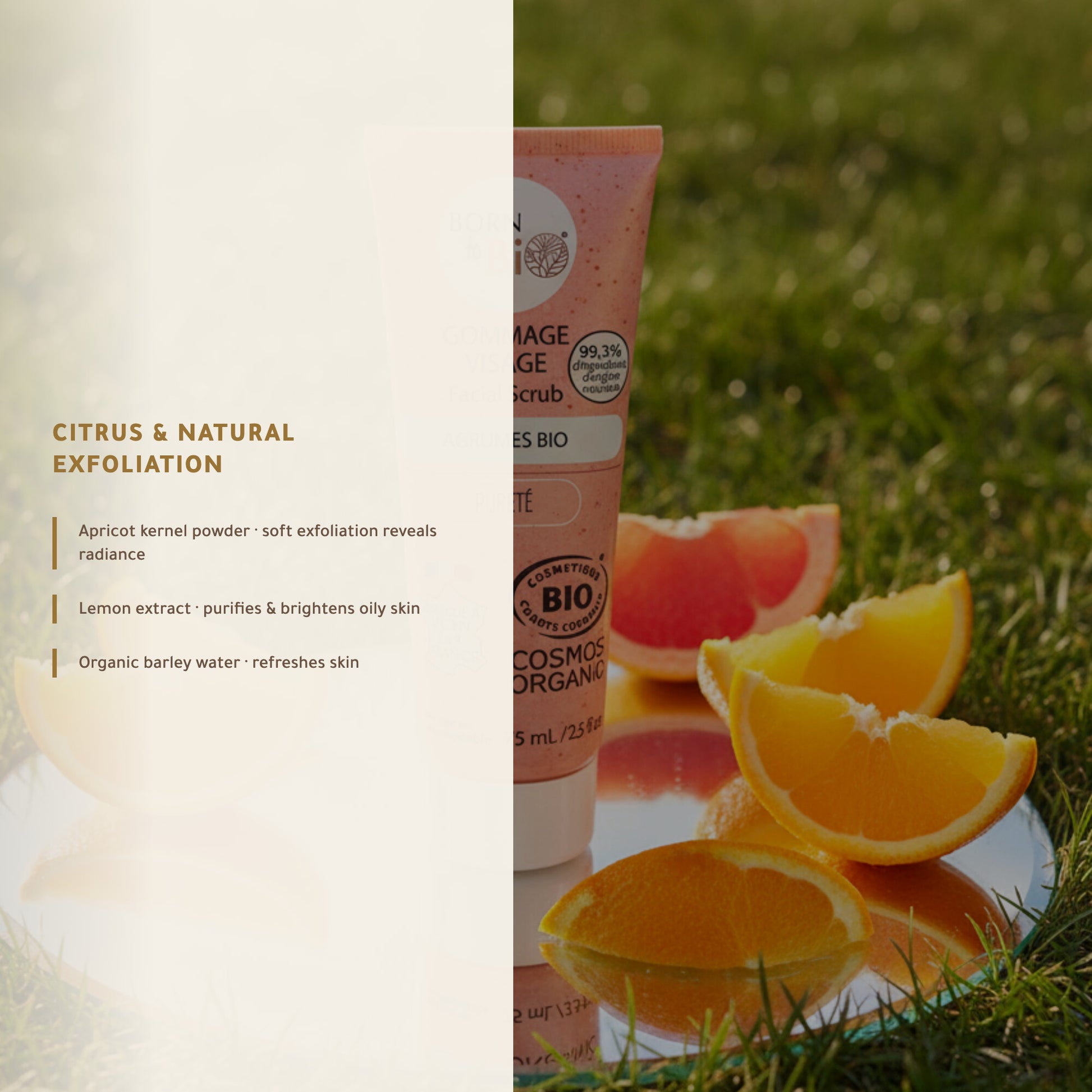 Organic Citrus Face Scrub – Made in Vichy, France | Born to Bio Vichy – slide 3