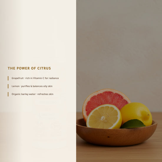 Organic Citrus Face Cleansing Foam – Made in Vichy, France | Born to Bio Vichy – slide 3