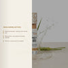 Organic Liquid Concealer – French Formula | Born to Bio – slide 5