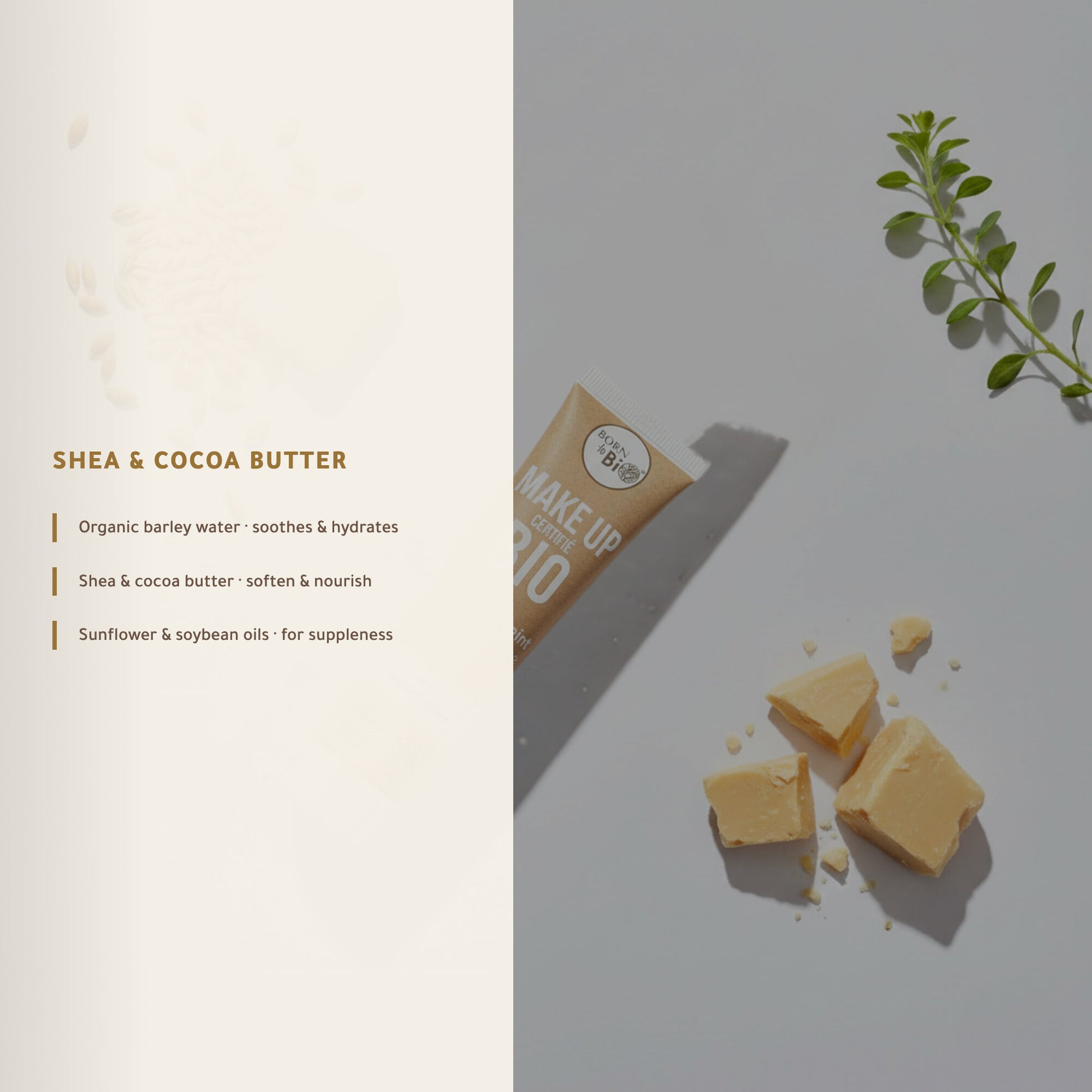 Organic Makeup Base – Certified Organic | Born to Bio – slide 4