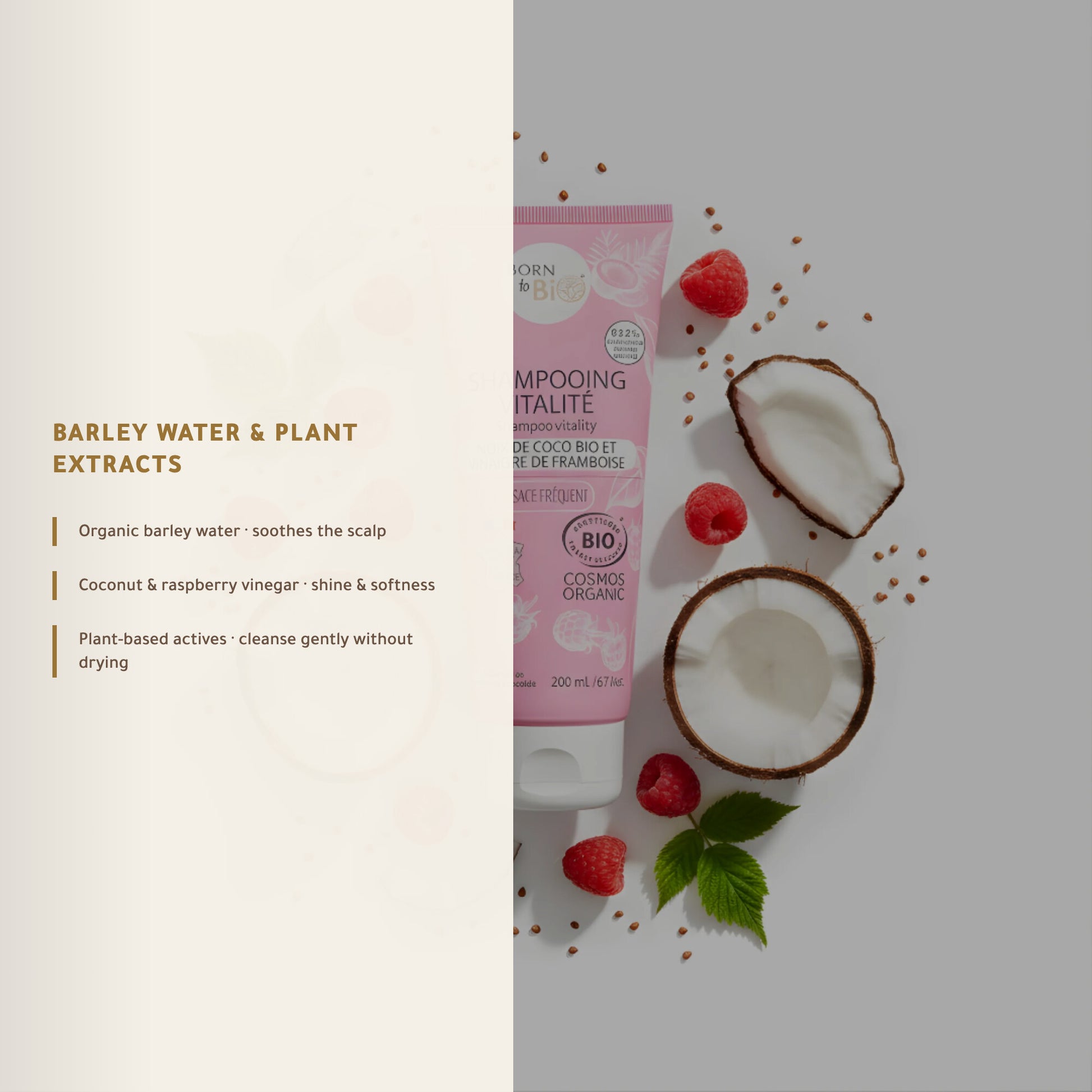 Organic Coconut & Raspberry Vinegar Shampoo for All Hair Types – Certified Organic | Born to Bio Vichy – slide 5