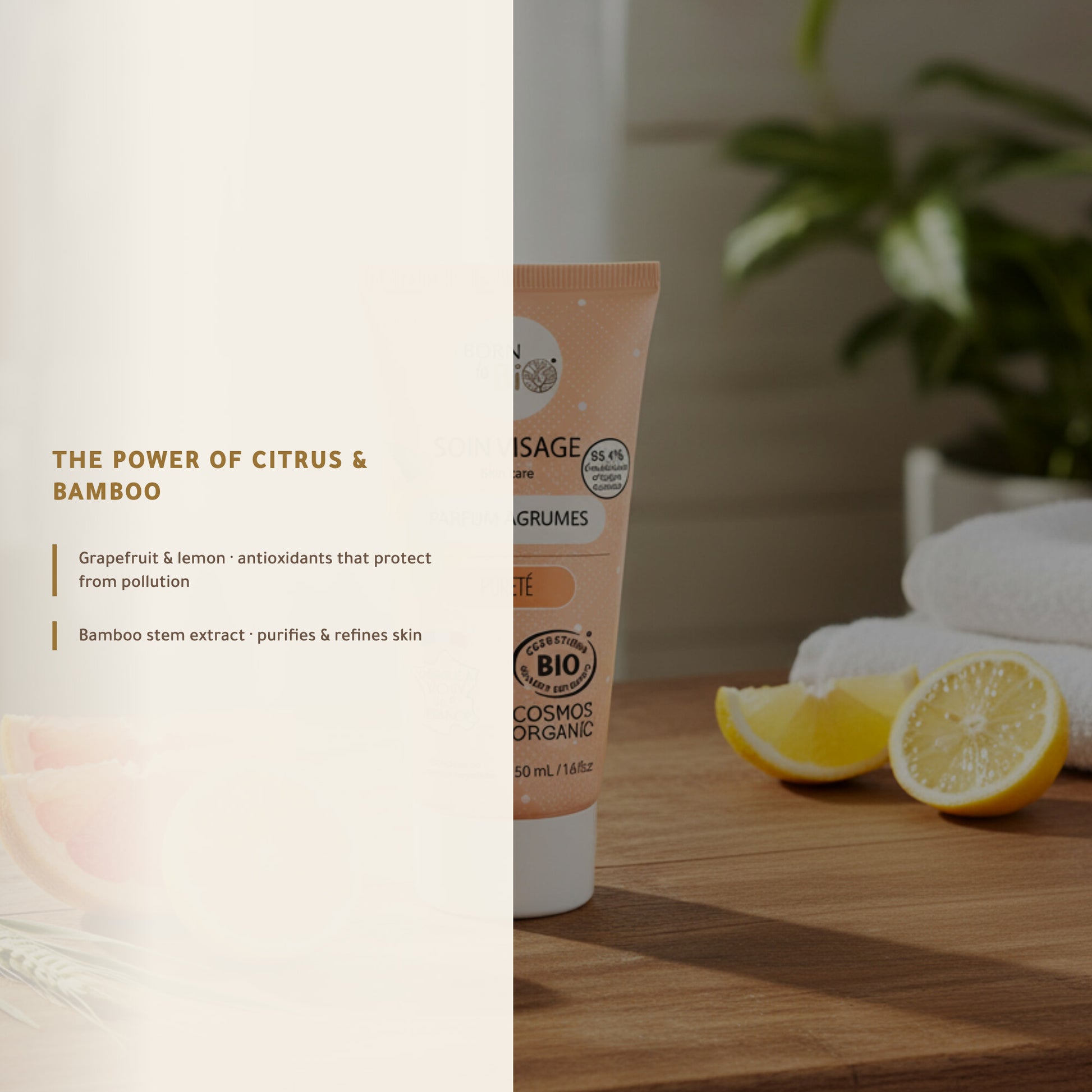 Organic Purity Face Cream – Made in Vichy, France | Born to Bio Vichy – slide 3