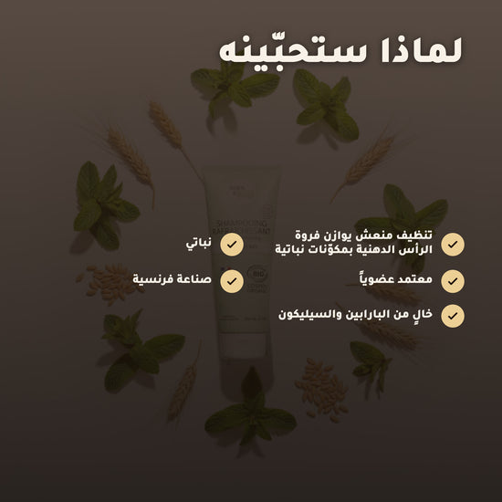 شامبو النعناع المنعش للشعر الدهني – مُعتمد عضويًا | بورن تو بيو فيشي – 2