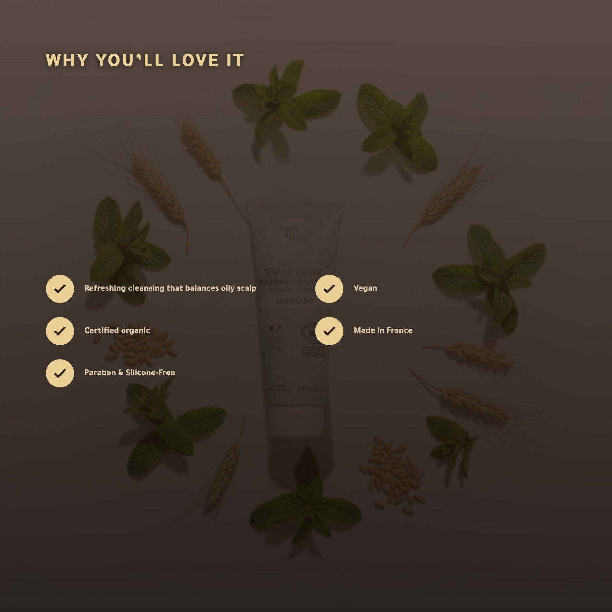 Refreshing Mint Shampoo for Oily Hair – Certified Organic | Born to Bio Vichy – slide 2