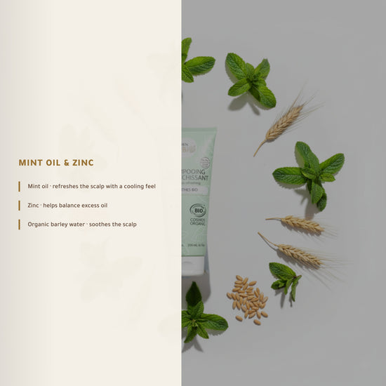 Refreshing Mint Shampoo for Oily Hair – Certified Organic | Born to Bio Vichy – slide 4