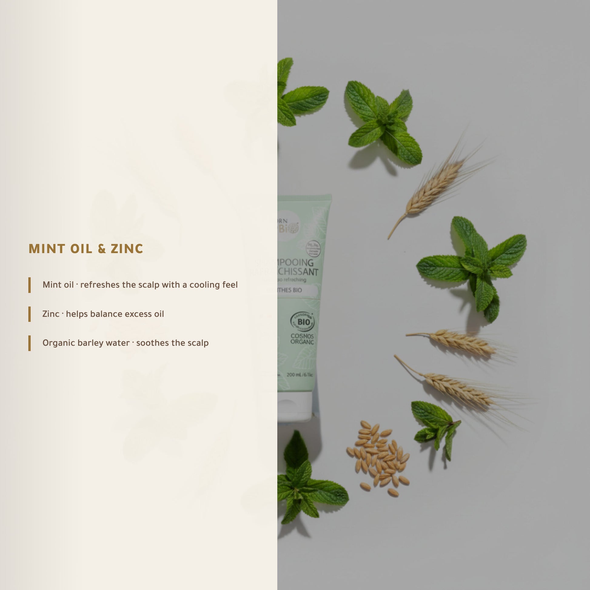Refreshing Mint Shampoo for Oily Hair – Certified Organic | Born to Bio Vichy – slide 4