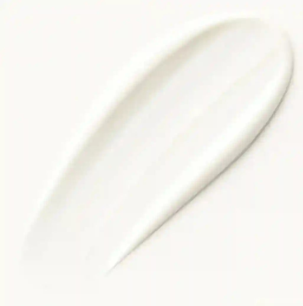 Born to Bio Rose & Argan Night Cream — airless pump packaging detail