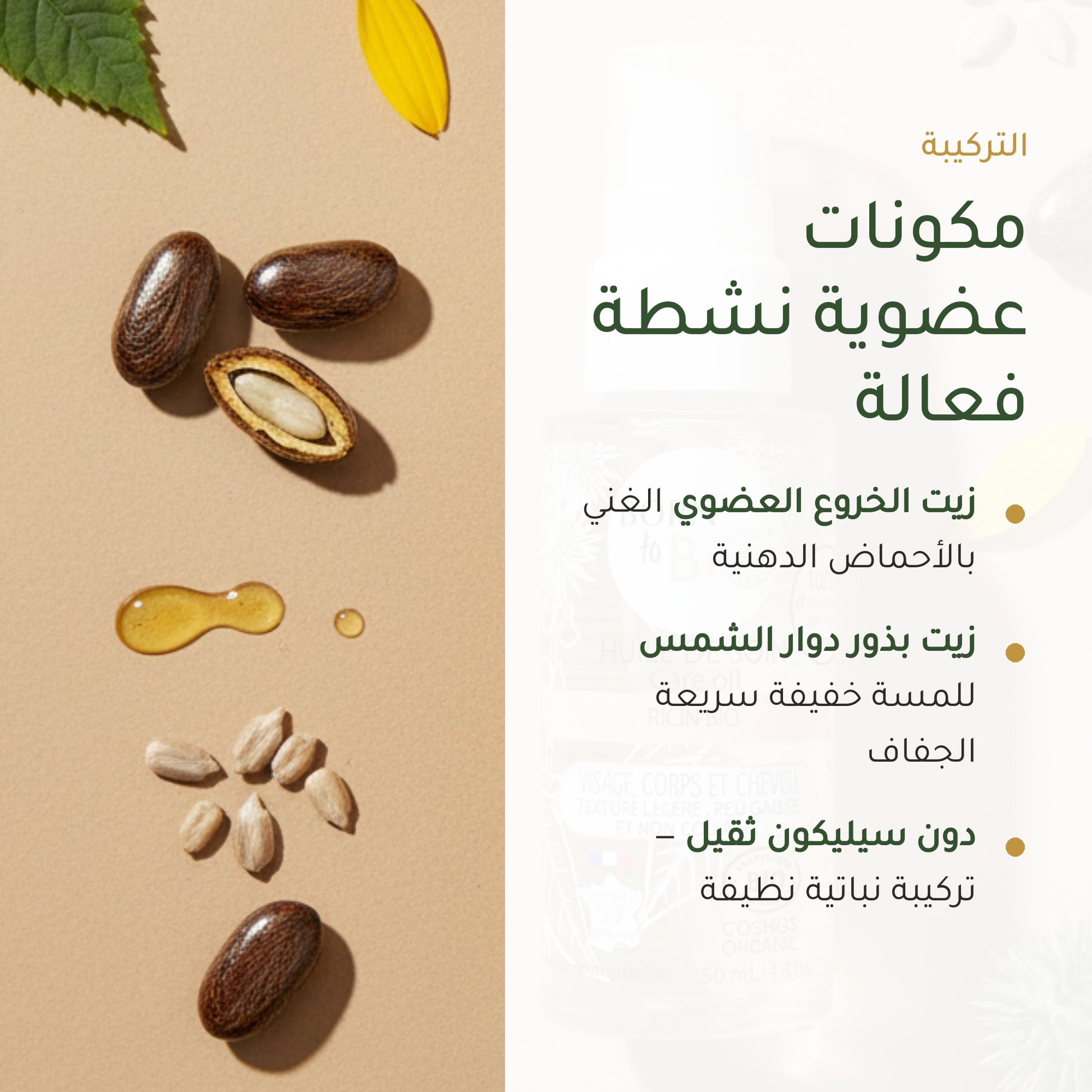 زيت الخروع العضوي للعناية – صُنع في فيشي، فرنسا | بورن تو بيو فيشي – شريحة 3