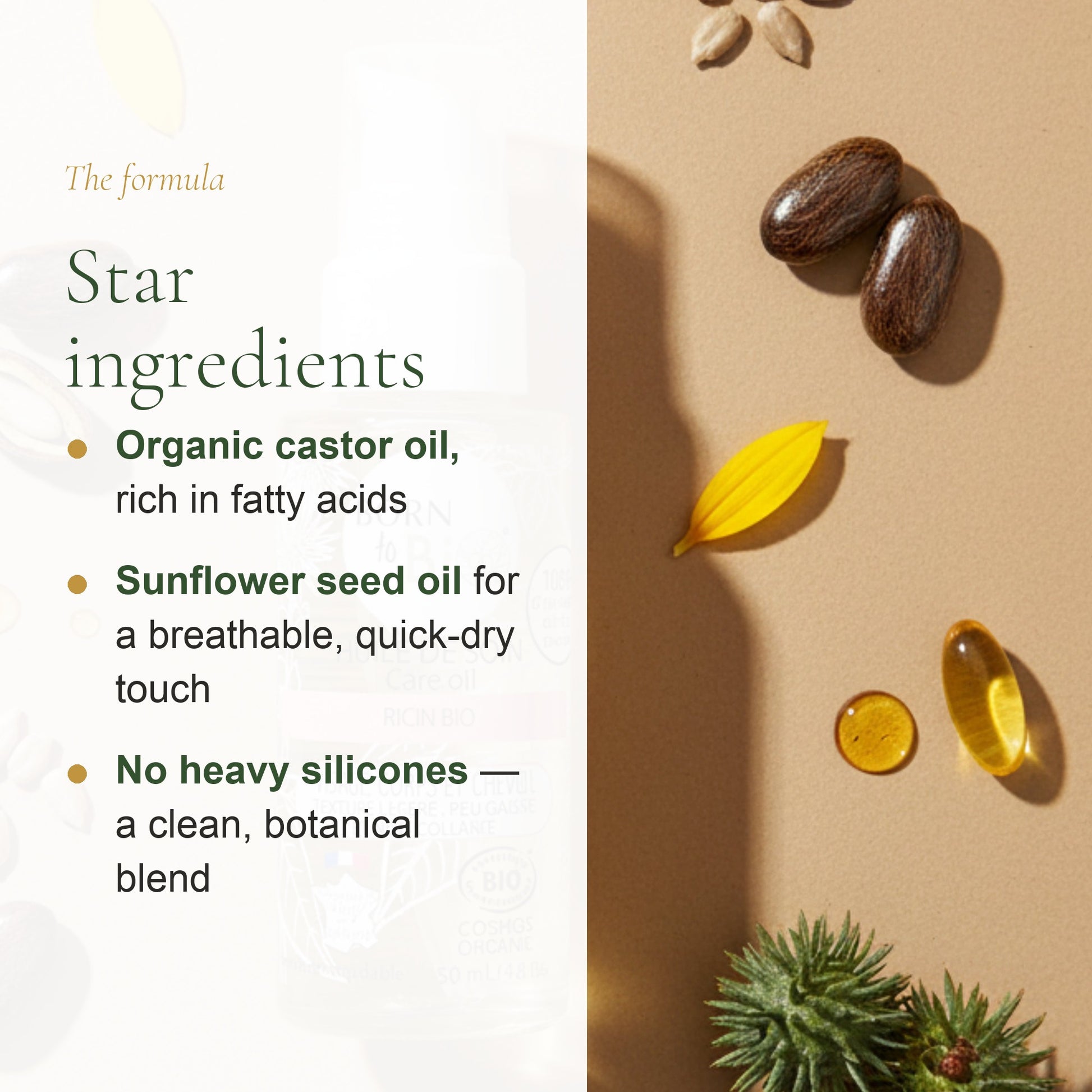 Organic Castor Care Oil – slide 3