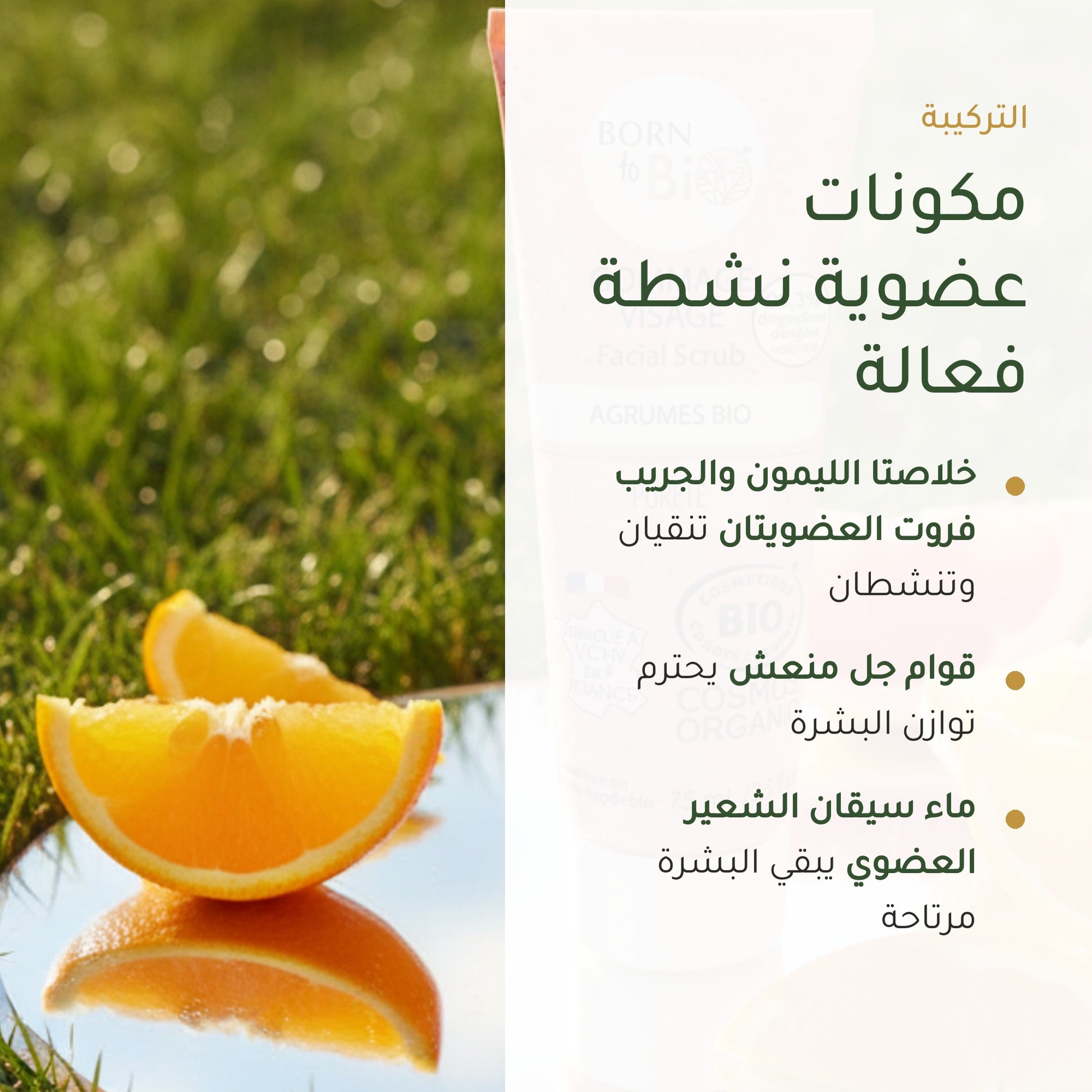 مقشّر وجه عضوي بالحمضيات – صنع في فيشي فرنسا | بورن تو بيو فيشي – شريحة 3