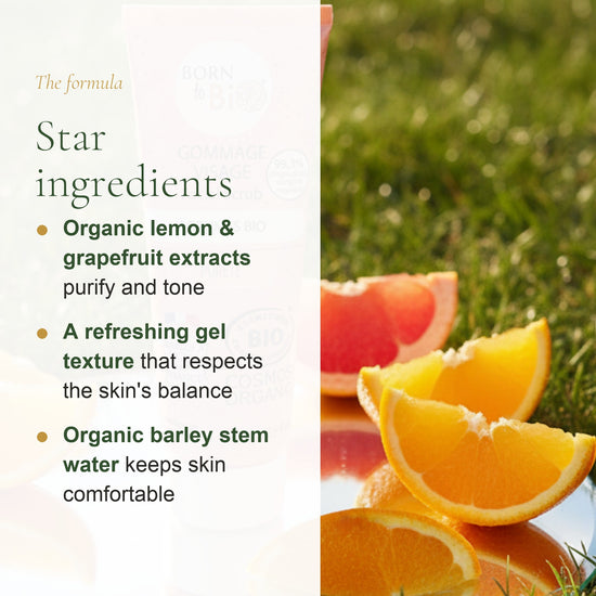 Organic Citrus Face Scrub – slide 3