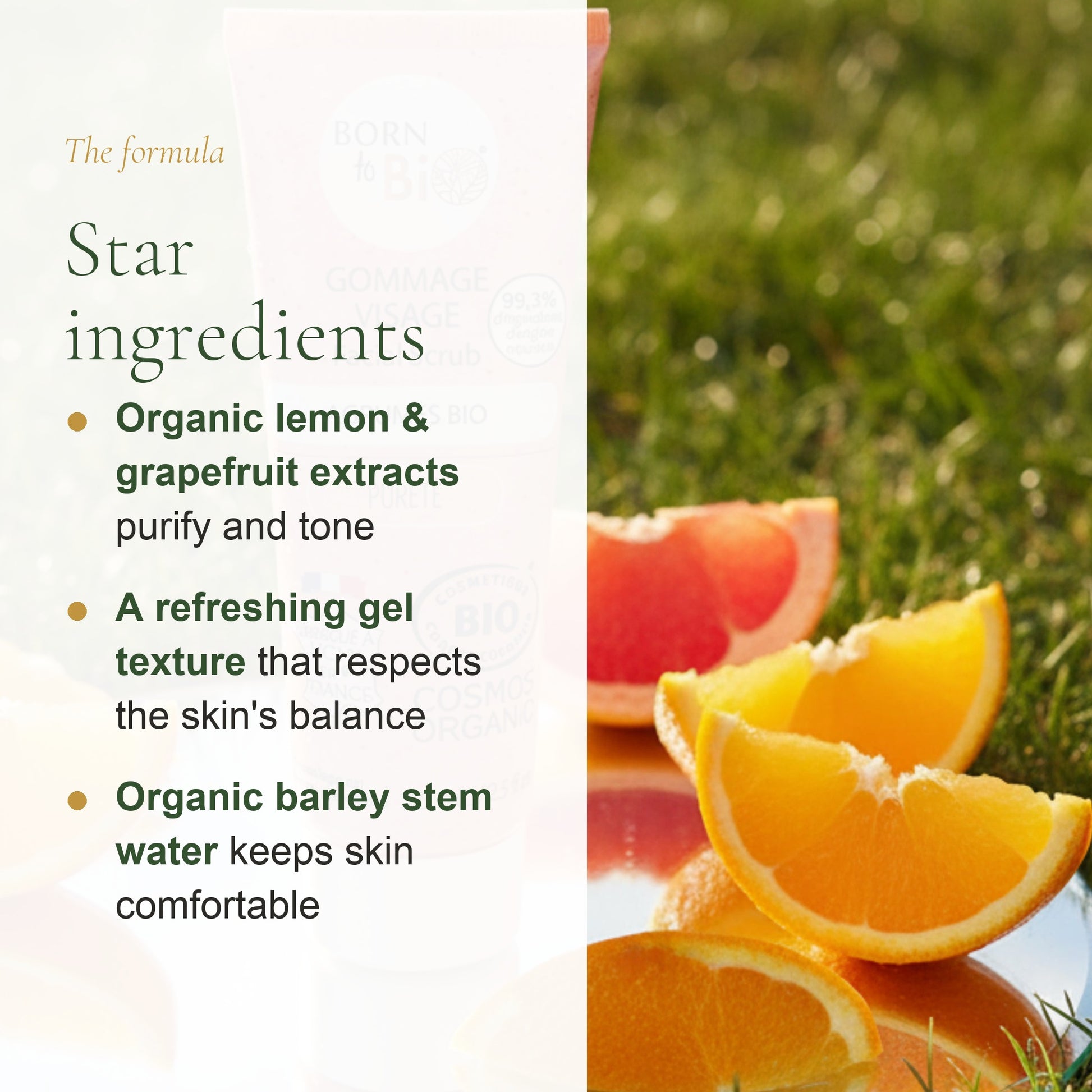 Organic Citrus Face Scrub – slide 3