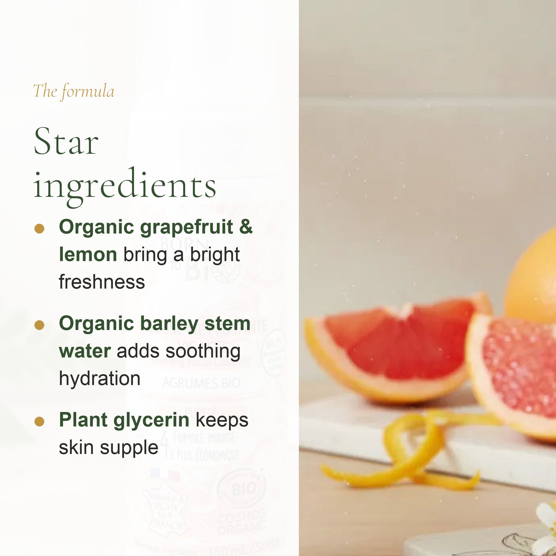 Organic Citrus Face Cleansing Foam – slide 3