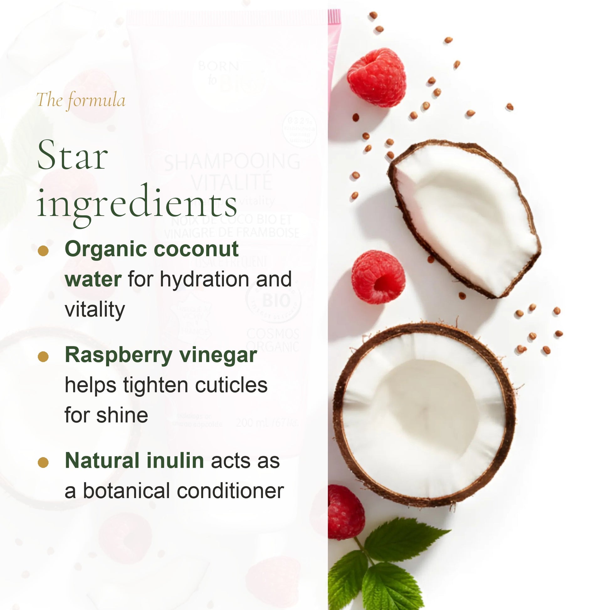 Organic Coconut & Raspberry Vinegar Shampoo – slide 3