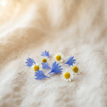Cornflowers and chamomile on soft fabric