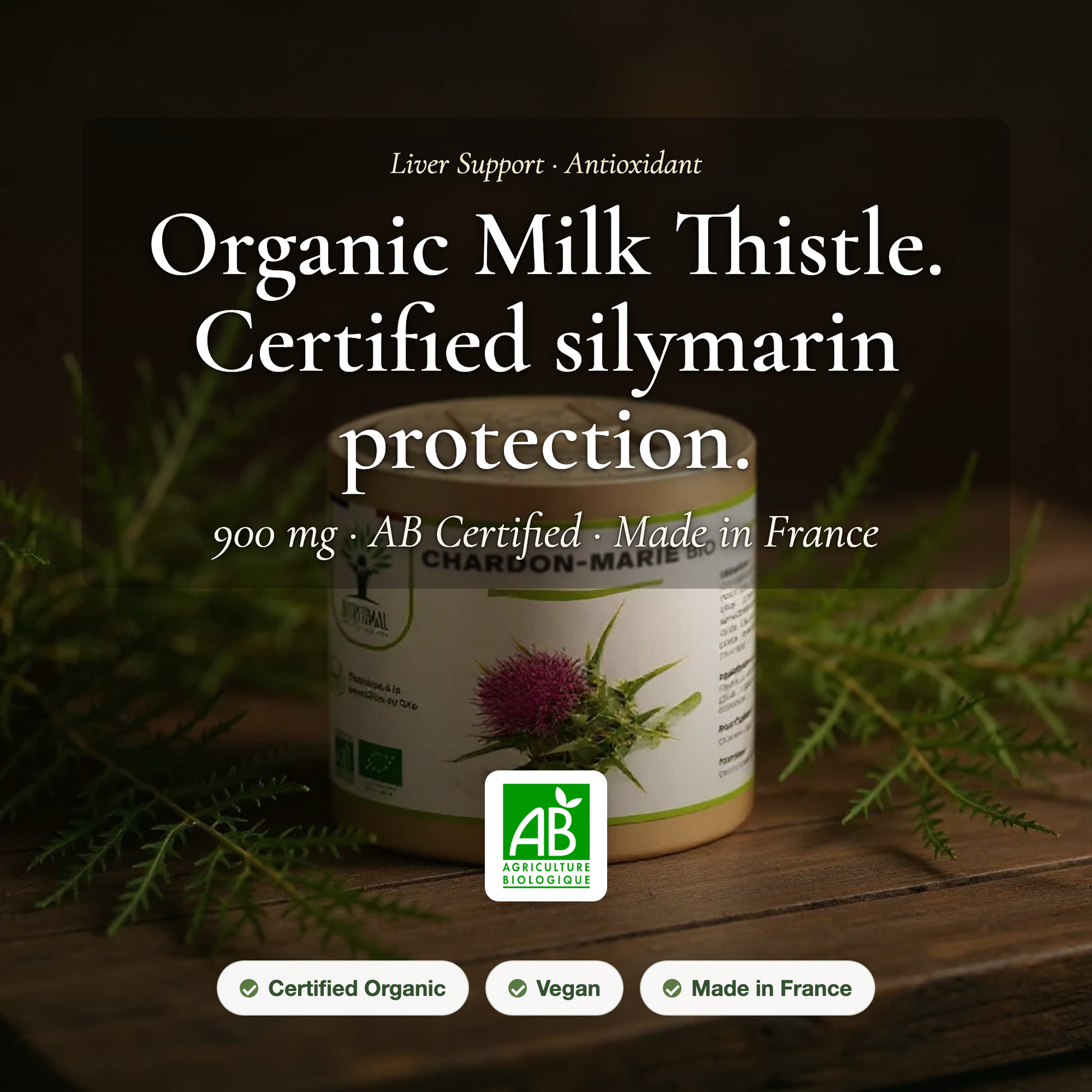 Organic Milk Thistle Supplement – Liver Support Antioxidant – AB Certified Made in France | Pure n' Bio