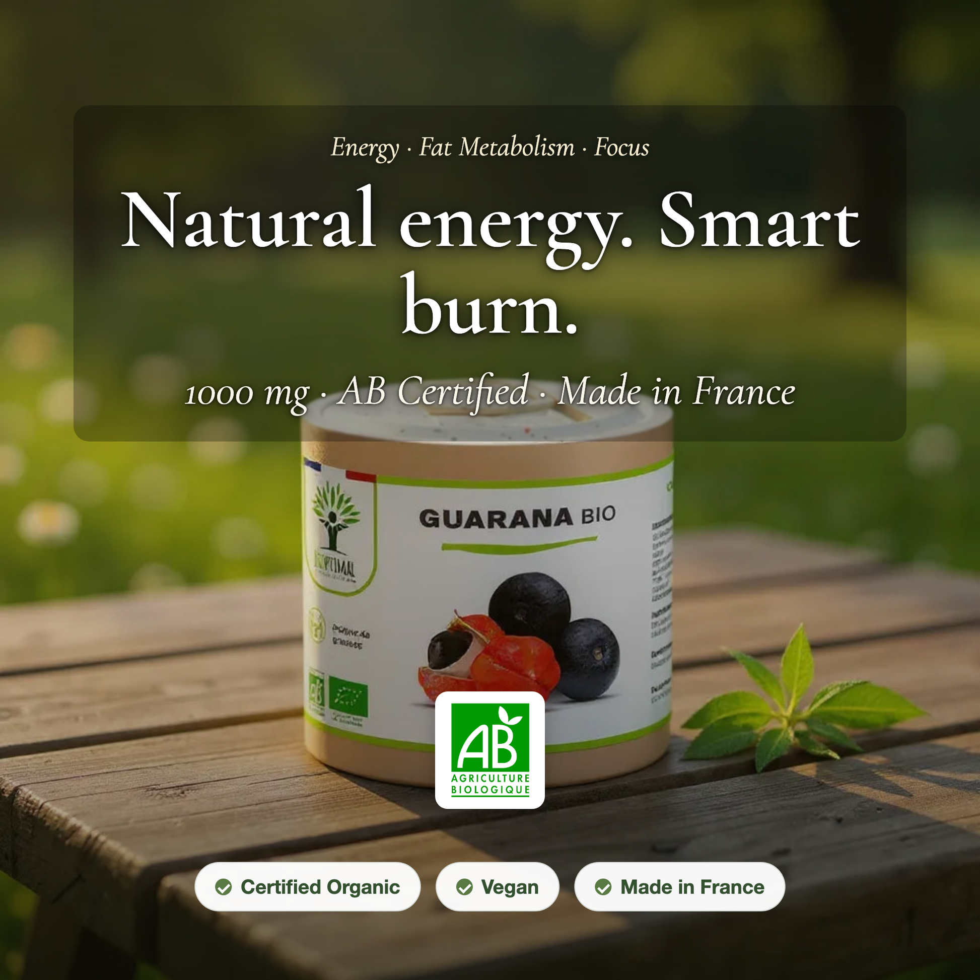 Organic Guarana Supplement – Natural Energy & Fat Metabolism – AB Certified Made in France | Pure n' Bio