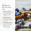 Blueberry Supplement Benefits – Night Vision Retinal Health Eye Capillary Support – AB Certified Organic | Pure n' Bio