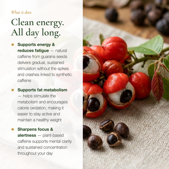 Guarana Energy Supplement – Sustained Energy Reduces Fatigue Sharpens Focus – Natural Plant Caffeine | Pure n' Bio