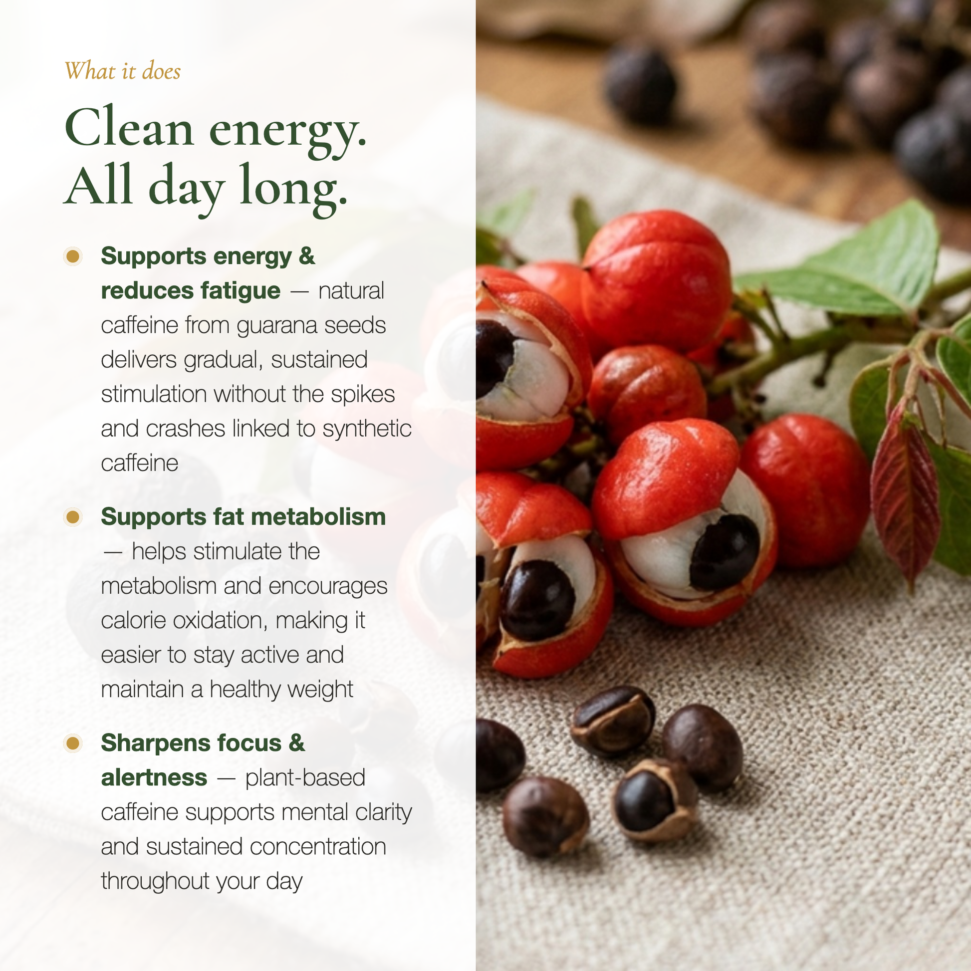 Guarana Energy Supplement – Sustained Energy Reduces Fatigue Sharpens Focus – Natural Plant Caffeine | Pure n' Bio