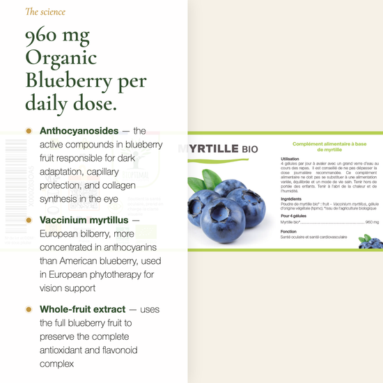 Organic Blueberry 960mg Anthocyanosides Vaccinium Myrtillus Whole-Fruit Extract – AB Certified Supplement | Pure n' Bio