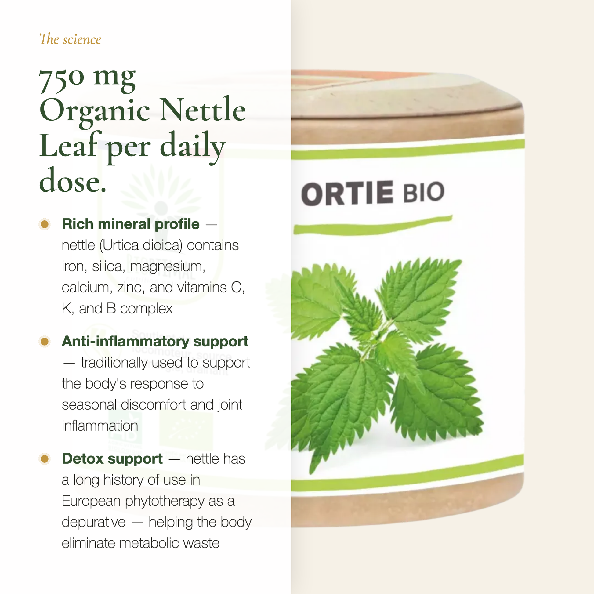 Nettle Supplement 750 mg Urtica Dioica Daily Dose – Iron Silica Anti-Inflammatory Detox – AB Certified Organic | Pure n' Bio