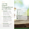 1140 mg Organic Harpagophytum Daily Dose – Harpagoside Active Compound – AB Certified | Pure n' Bio