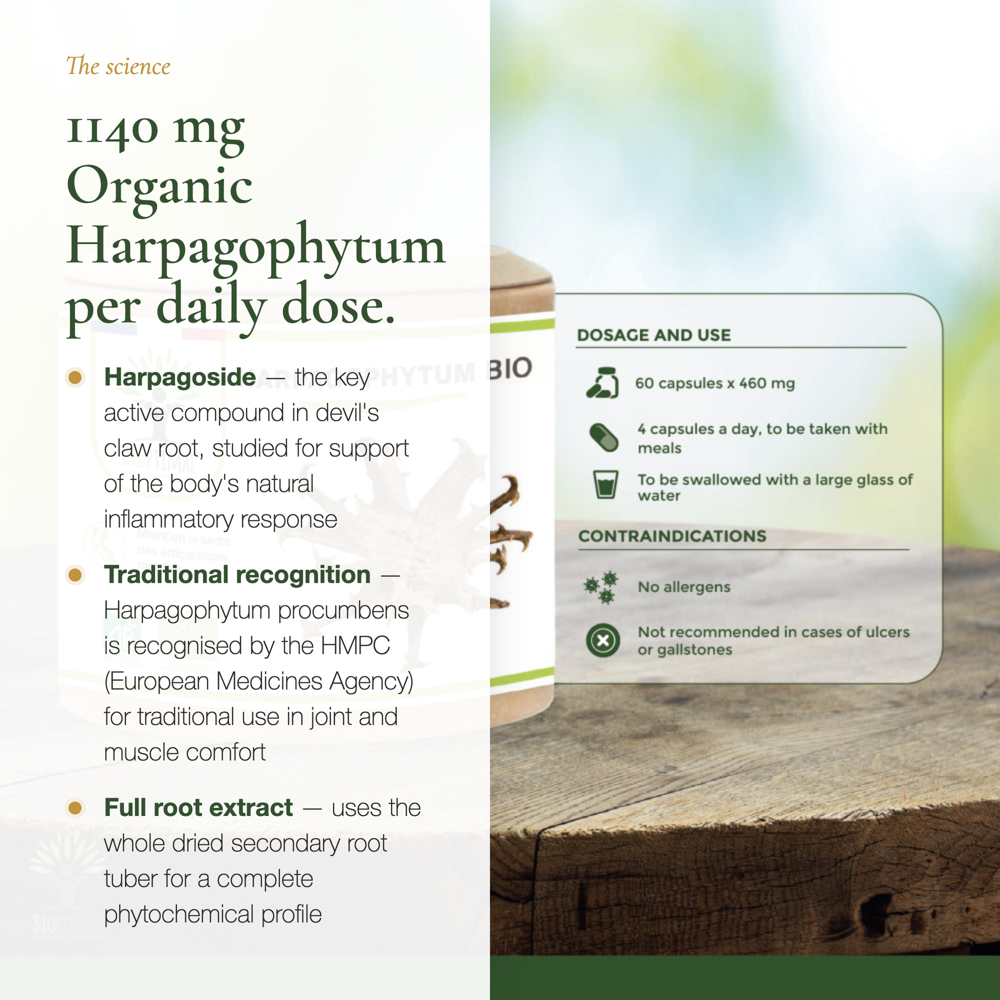 1140 mg Organic Harpagophytum Daily Dose – Harpagoside Active Compound – AB Certified | Pure n' Bio