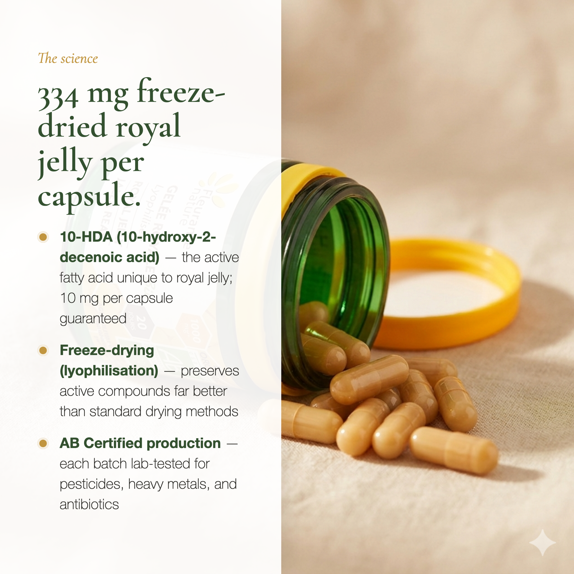 334 mg Freeze-Dried Royal Jelly Science – 10-HDA 10 mg Per Capsule Lab-Tested AB Certified | Pure n' Bio