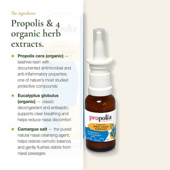 Propolis & 4 Organic Herb Extracts Formula – Antimicrobial Propolis + Eucalyptus Nasal Spray – Made in France | Pure n' Bio