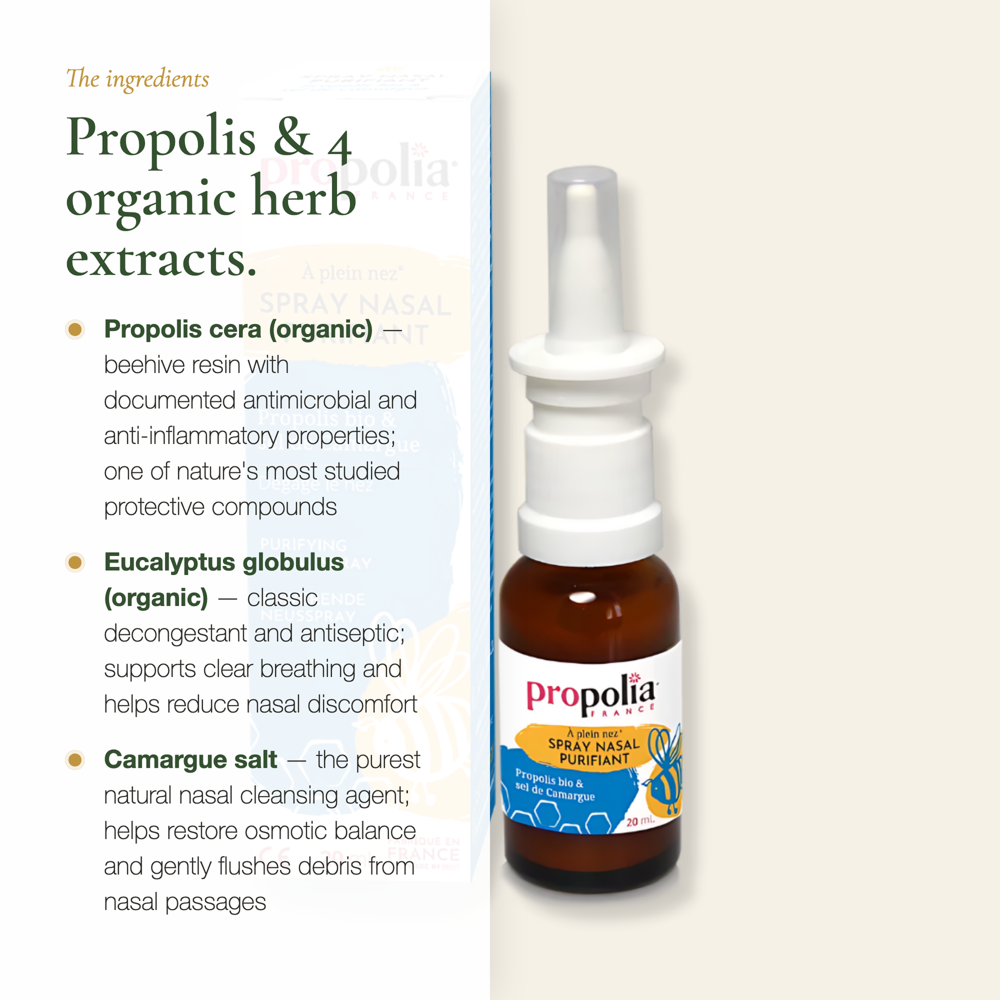 Propolis & 4 Organic Herb Extracts Formula – Antimicrobial Propolis + Eucalyptus Nasal Spray – Made in France | Pure n' Bio