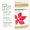 600 mg Organic Red Vine Leaf Daily Dose – Anthocyanins & OPCs Vascular Tone – AB Certified | Pure n' Bio