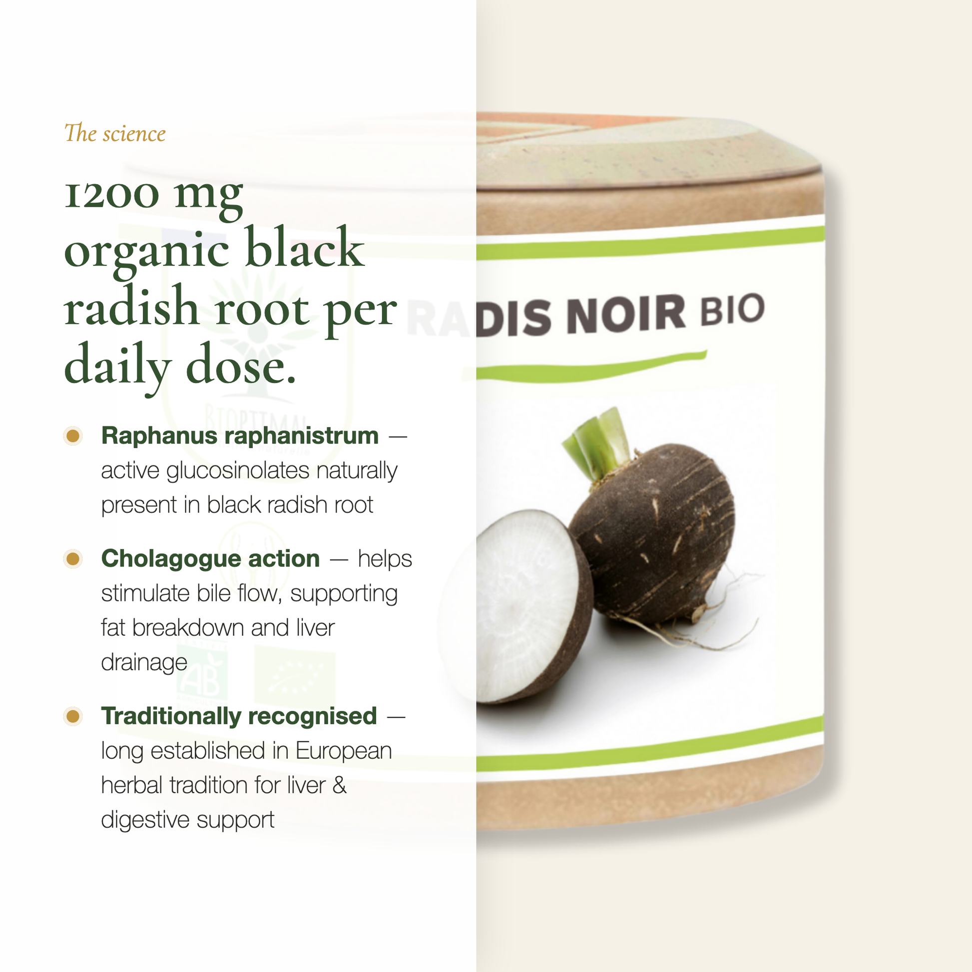 Black Radish 1200 mg Daily Dose – Glucosinolates Cholagogue Action – AB Certified Organic | Pure n' Bio