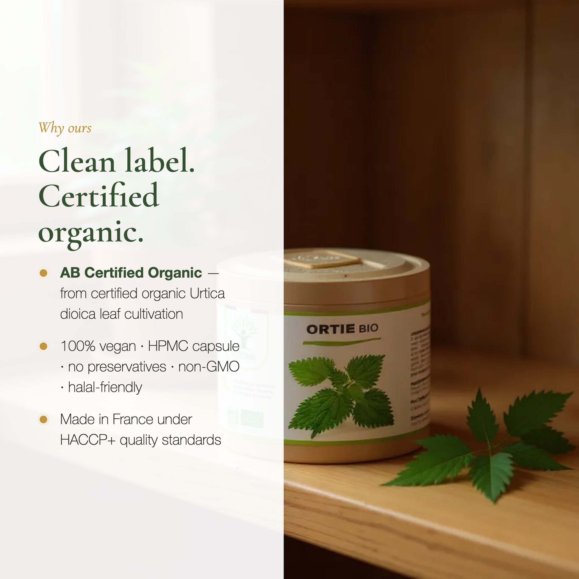 Organic Nettle Vegan Supplement Clean Label – Non-GMO No Preservatives HPMC Capsule – Made in France HACCP | Pure n' Bio