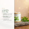 How to Use Nettle Supplement 3 Capsules Daily – 60-Day Supply With Meal – Organic Iron Supplement France | Pure n' Bio