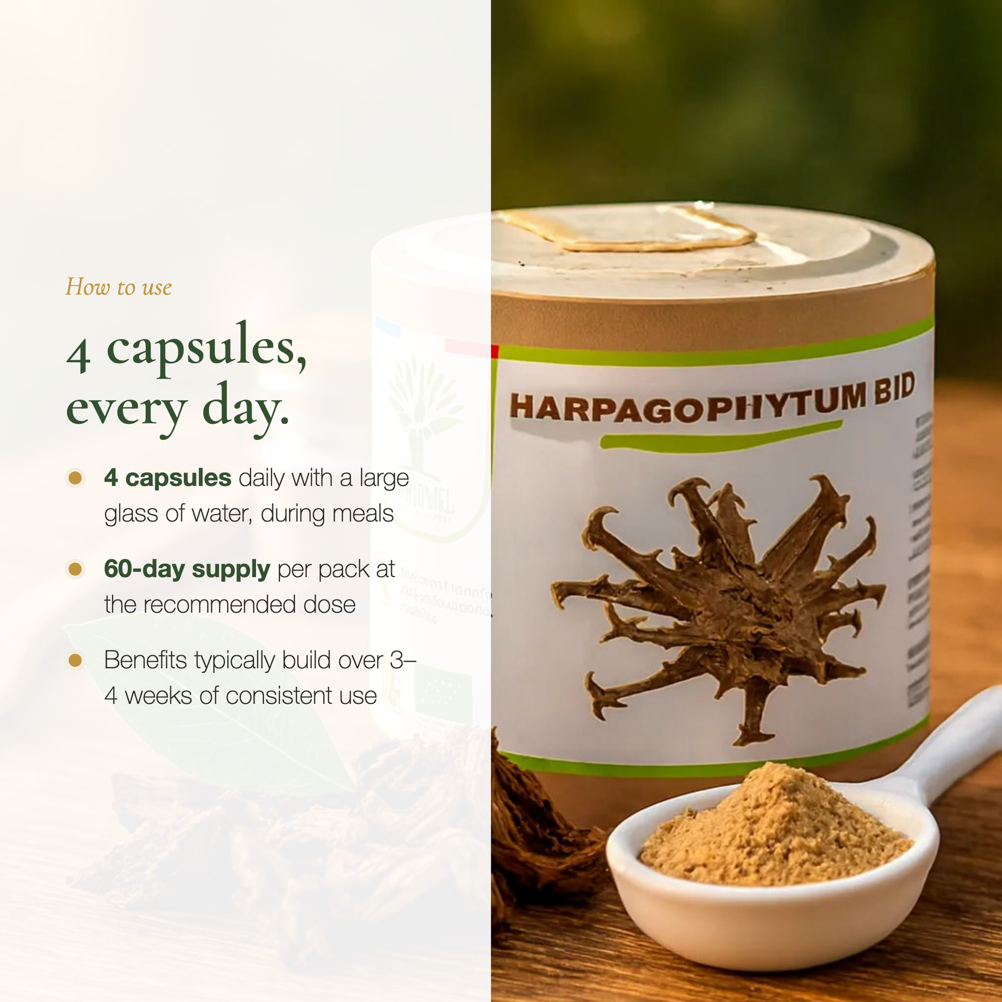 How to Use Devil's Claw Supplement – 4 Capsules Daily 1140 mg Harpagophytum | Pure n' Bio