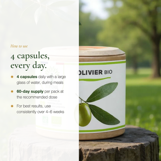 How to Use Olive Leaf Supplement 4 Capsules Daily With Meals – 60-Day Supply – Organic Circulation Supplement France | Pure n' Bio