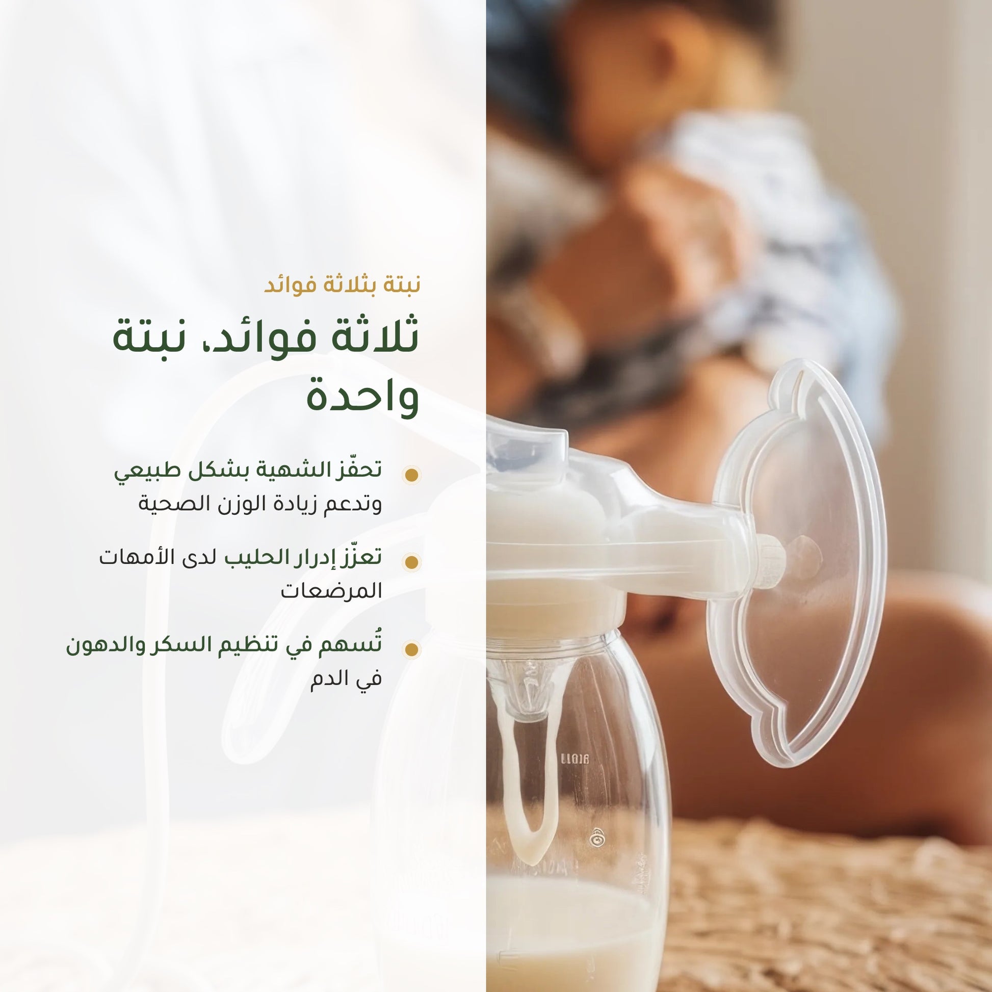فوائد الحلبة العضوية – دعم الشهية والإرضاع وتنظيم السكر – مكمّل غذائي عضوي فرنسي | بيور آن بيو