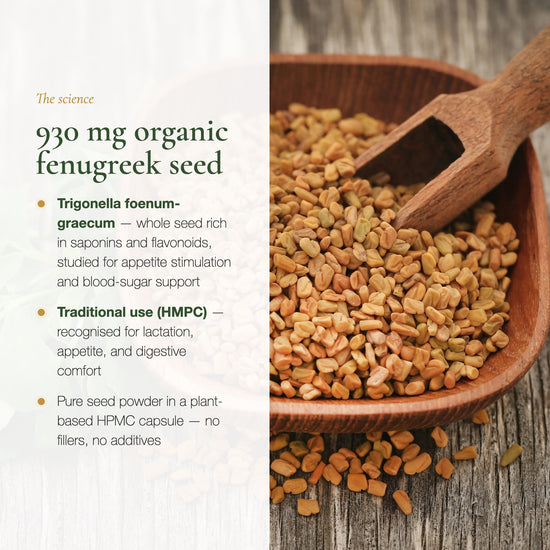 Fenugreek 930mg Trigonella Foenum-Graecum Seed – Saponins Flavonoids – AB Certified Organic | Pure n' Bio