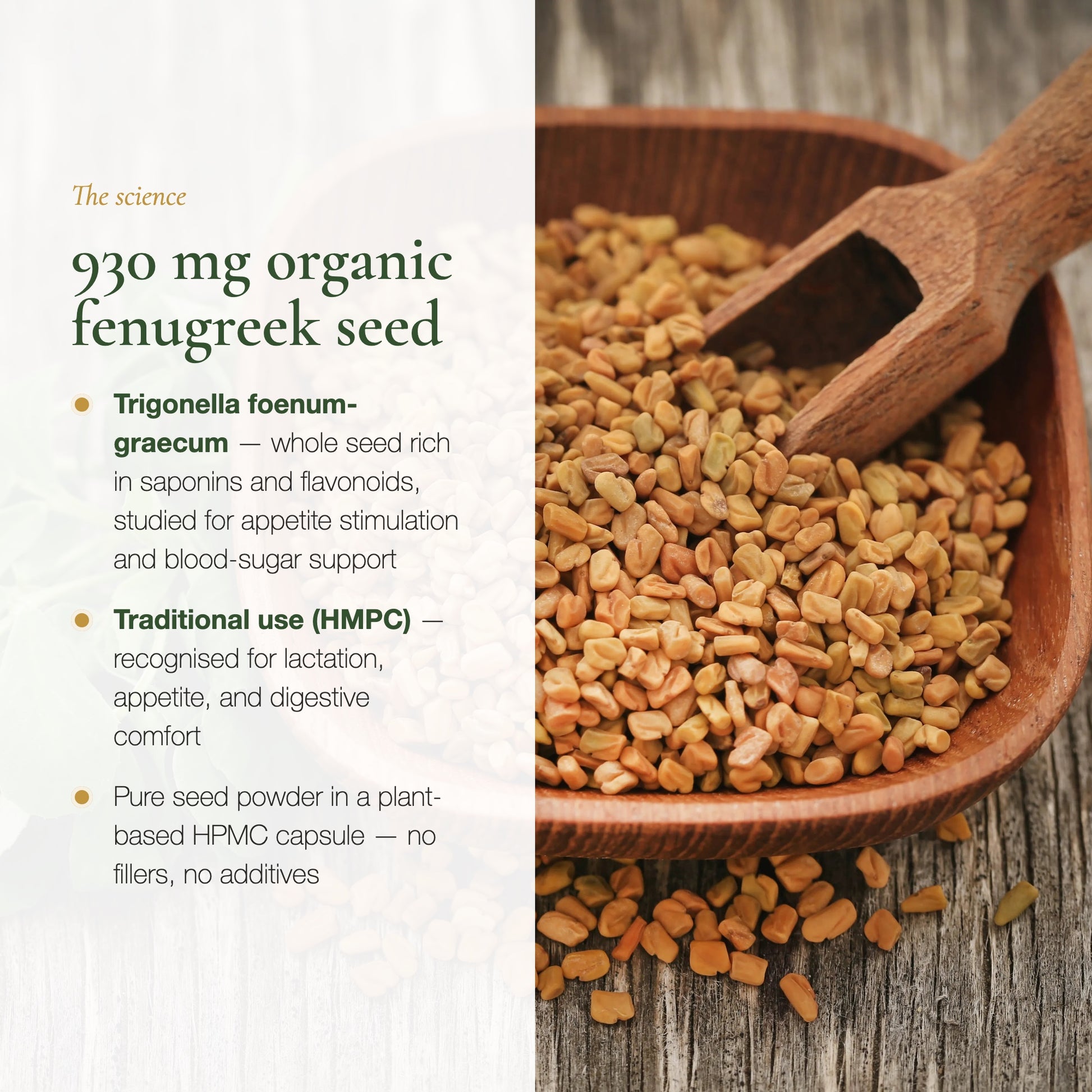 Fenugreek 930mg Trigonella Foenum-Graecum Seed – Saponins Flavonoids – AB Certified Organic | Pure n' Bio