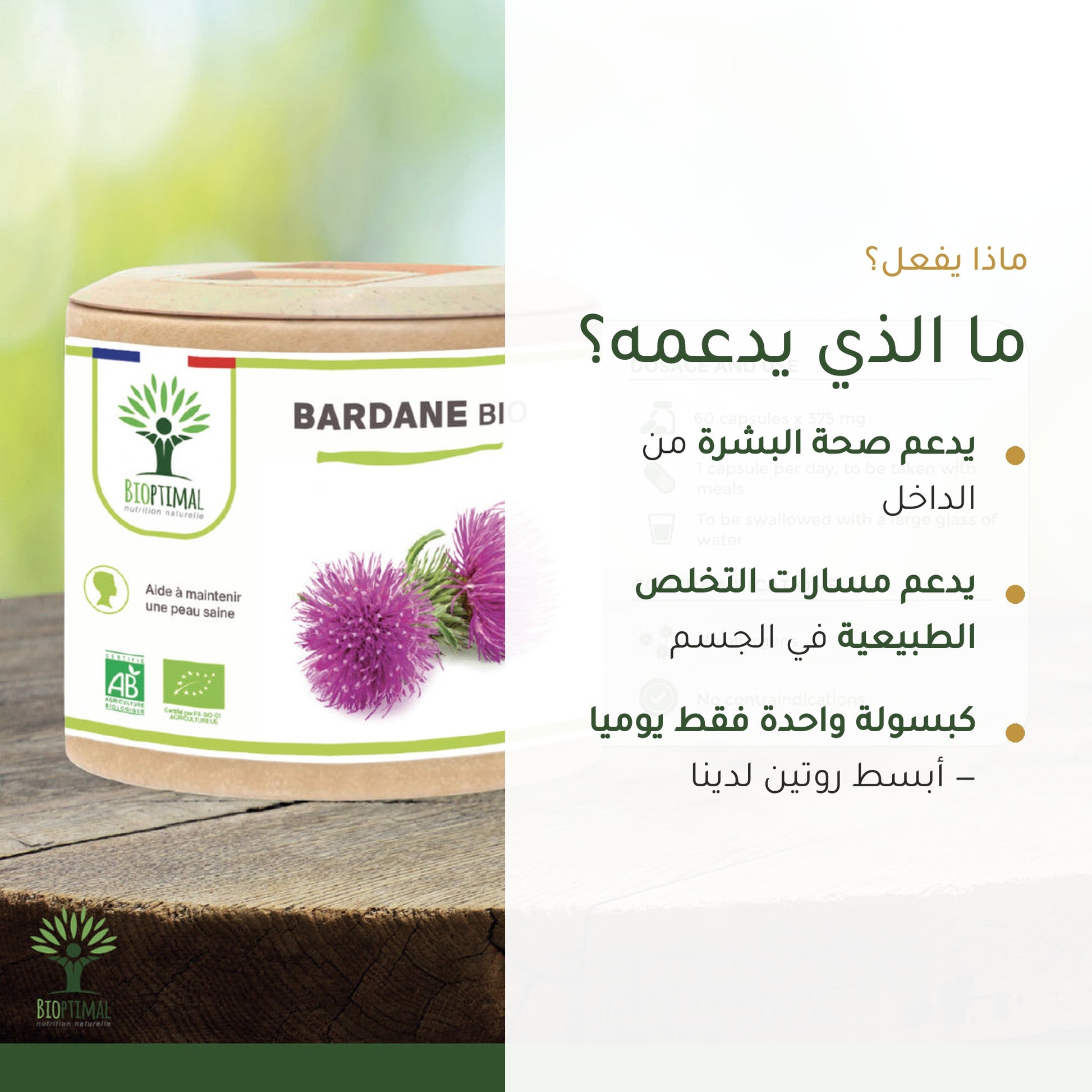 مكمل غذائي لجمال البشرة عضوي بالأرقطيون – شريحة 2